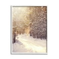 thumbnail image 1 of Stupell Industries Snowy Winter Path Nature Photography White Framed Art Print Wall Art, 24 x 30, 1 of 8
