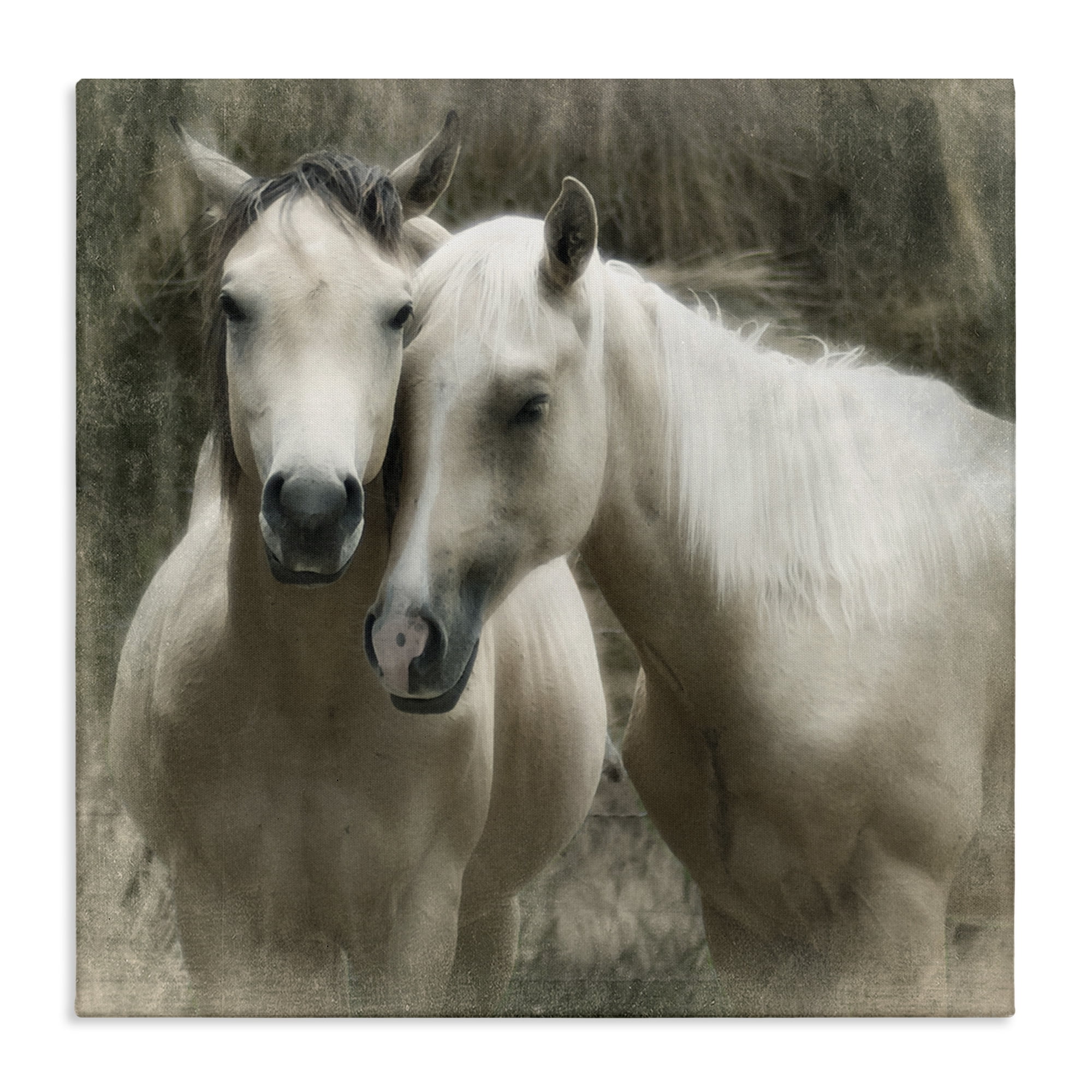 Stupell Industries Snuggling Horses on Farm Animals & Insects Painting Gallery Wrapped Canvas Art Print Wall Art, 30 x 30
