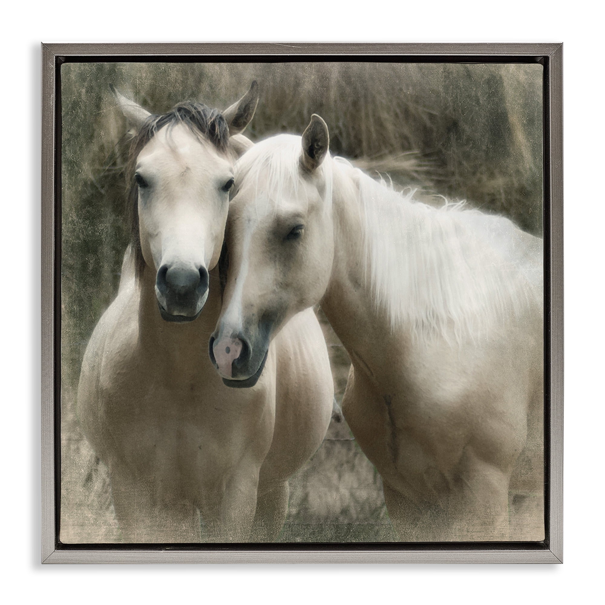 Stupell Industries Snuggling Horses on Farm Animals & Insects Painting Gray Floater Framed Canvas Art Print Wall Art, 18 x 18