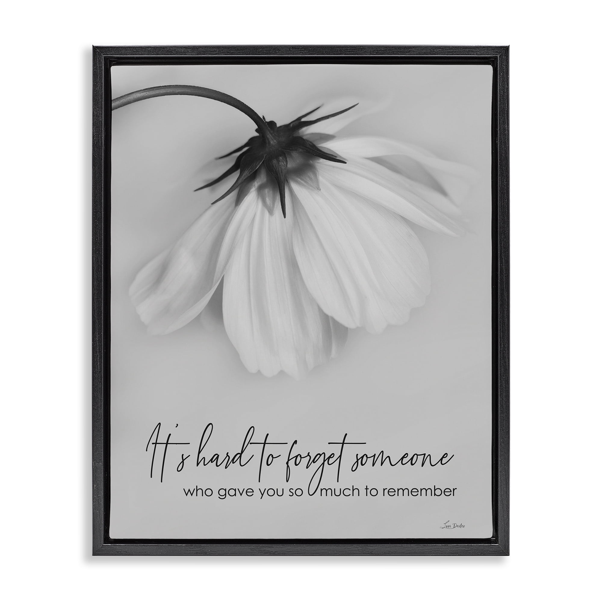 Stupell Industries So Much To Remember Botanical & Floral Painting Black Floater Framed Art Print Wall Art, 17 x 21