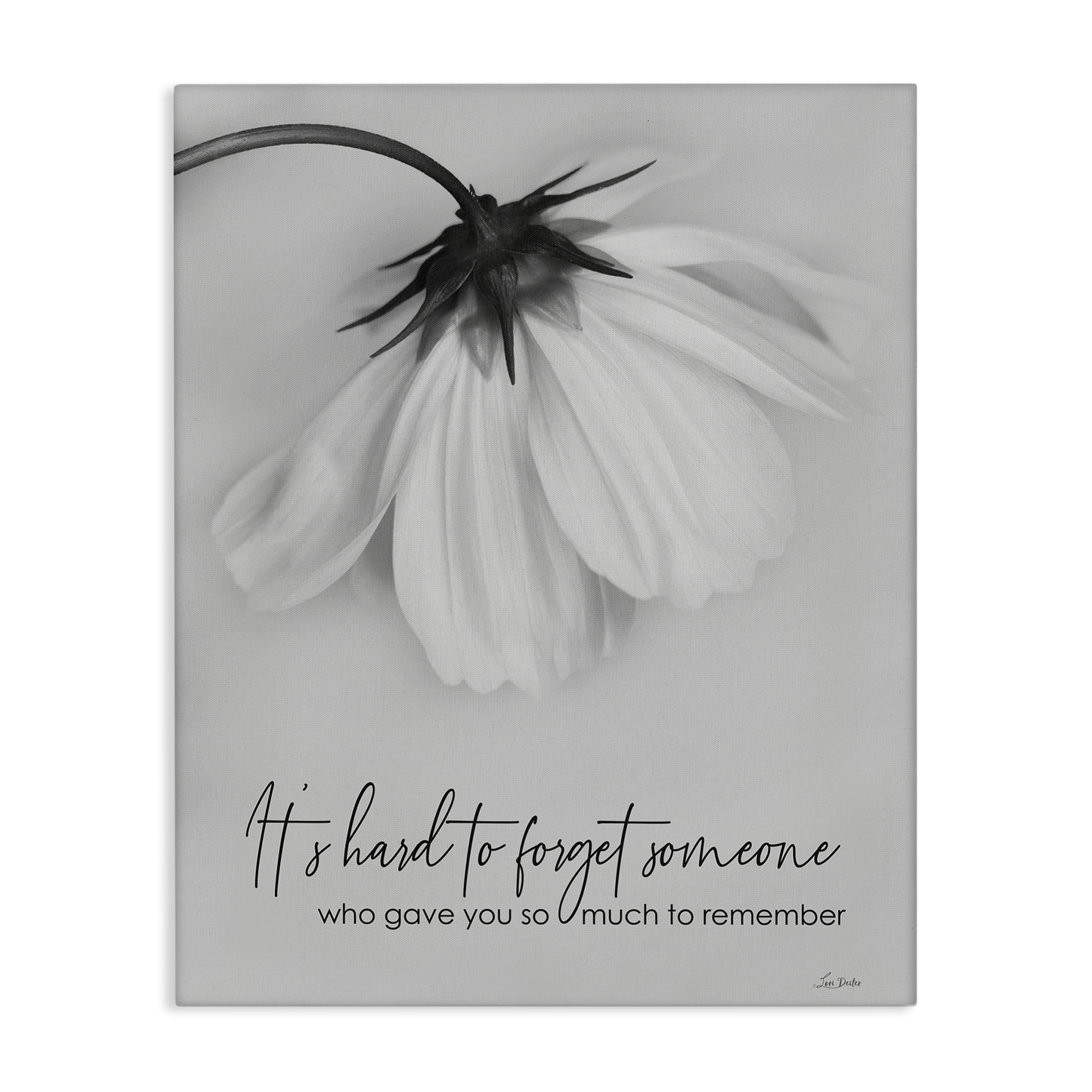 Stupell Industries So Much To Remember Botanical & Floral Painting Gallery Wrapped Canvas Art Print Wall Art, 24 x 30