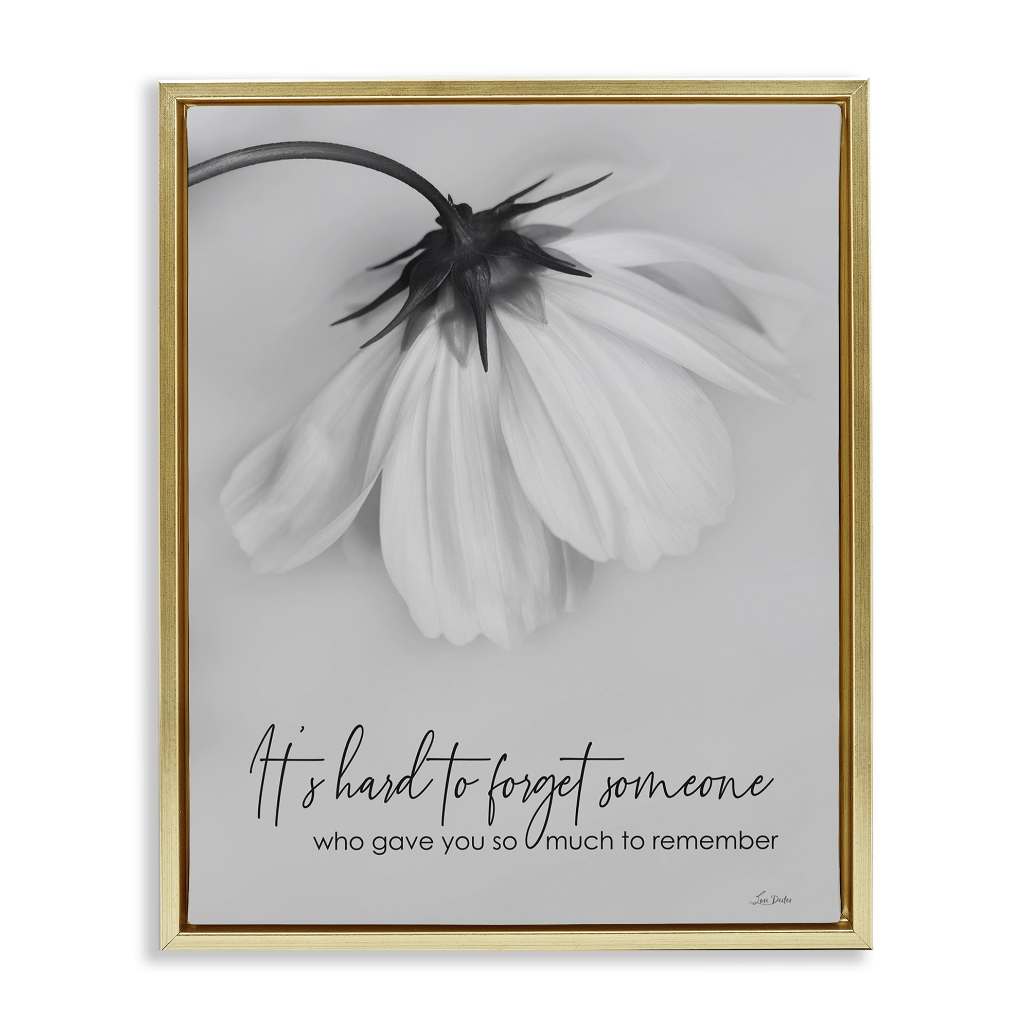 Stupell Industries So Much To Remember Botanical & Floral Painting Gold Floater Framed Art Print Wall Art, 17 x 21