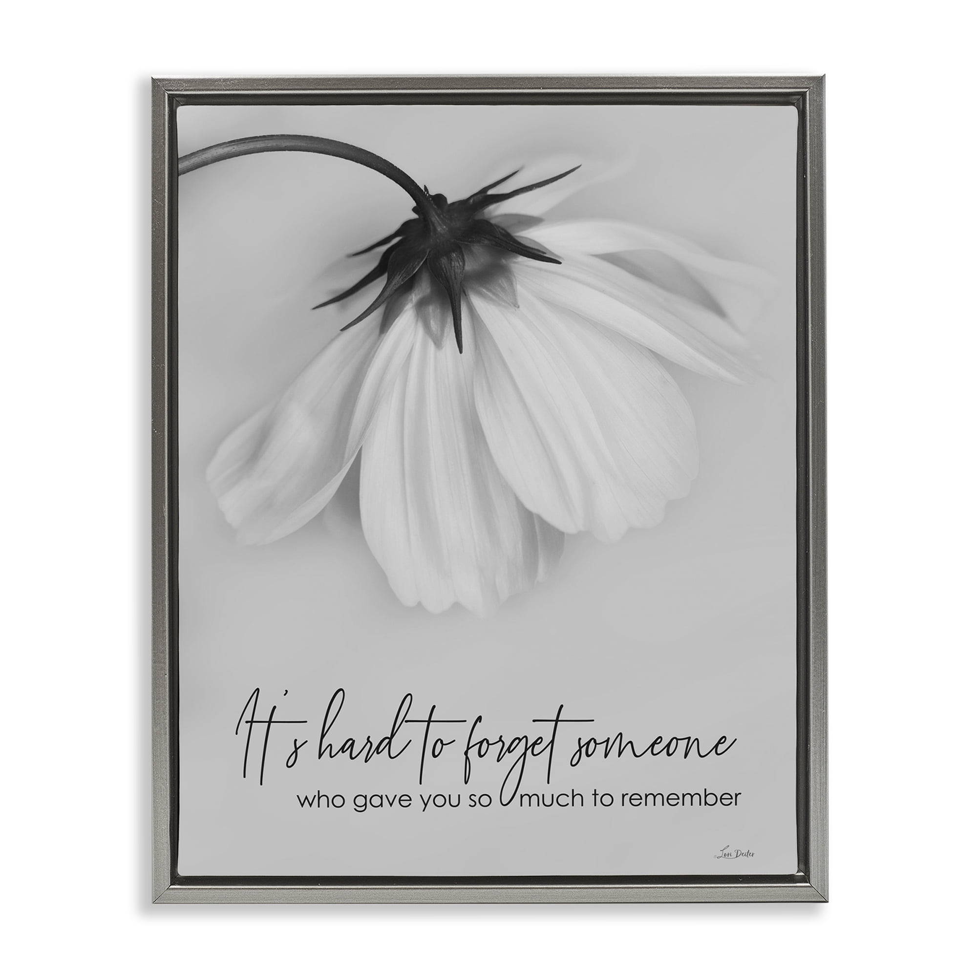 Stupell Industries So Much To Remember Botanical & Floral Painting Gray Floater Framed Art Print Wall Art, 25 x 31