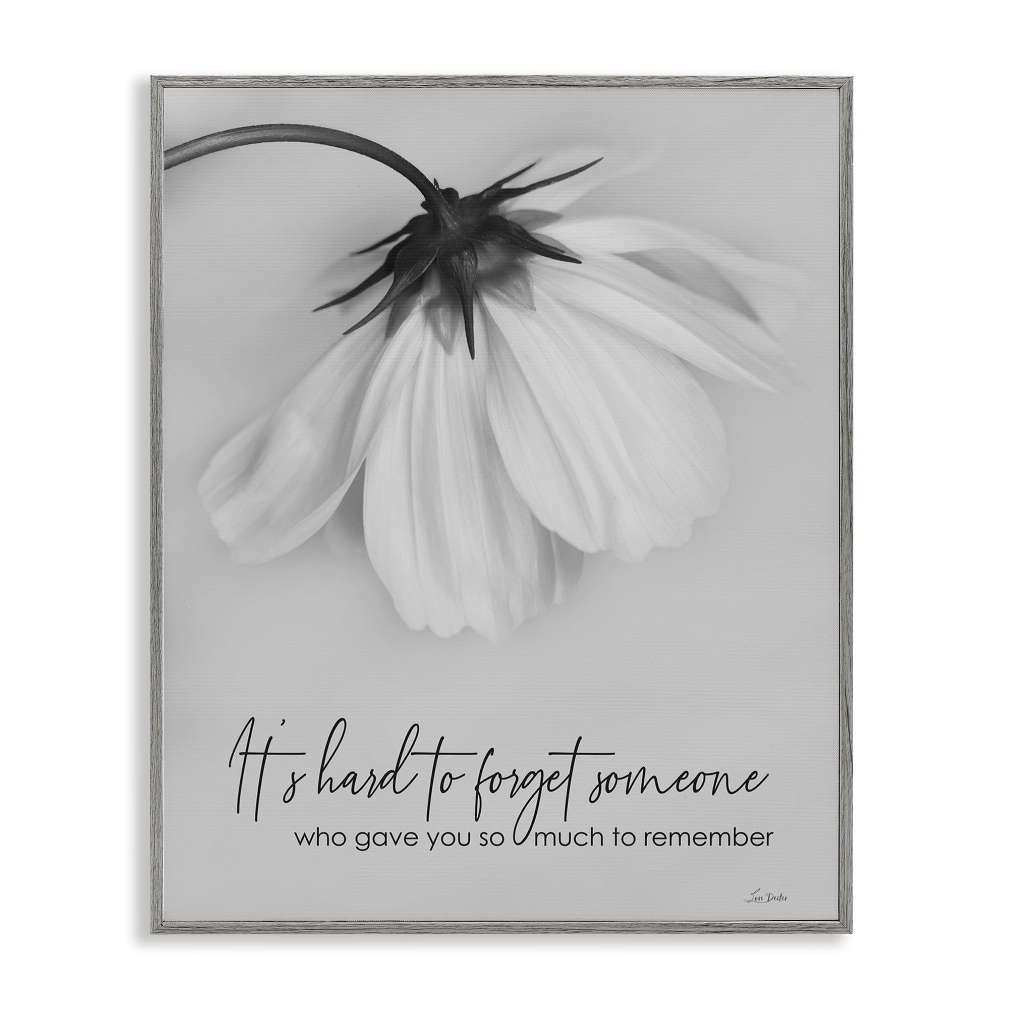 Stupell Industries So Much To Remember Botanical & Floral Painting Gray Framed Art Print Wall Art, 16 x 20