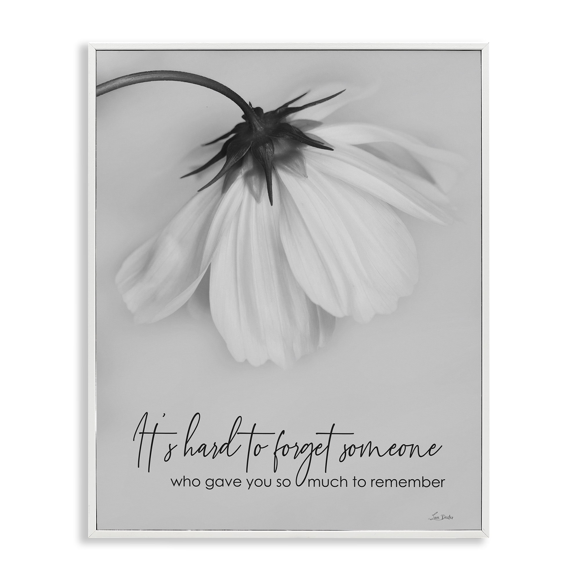 Stupell Industries So Much To Remember Botanical & Floral Painting White Framed Art Print Wall Art, 16 x 20