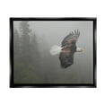 thumbnail image 1 of Stupell Industries Soaring Eagle in Nature Animals & Insects Photography Black Floater Framed Art Print Wall Art, 21 x 17, 1 of 10