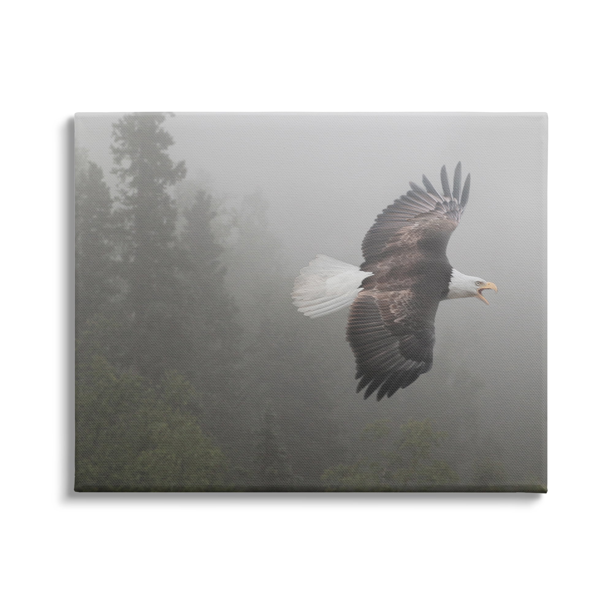 Majestic Bald Eagle in Misty Forest Canvas Print, 30 x 24