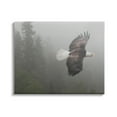 thumbnail image 1 of Stupell Industries Soaring Eagle in Nature Animals & Insects Photography Gallery Wrapped Canvas Print Wall Art, 40 x 30, 1 of 8