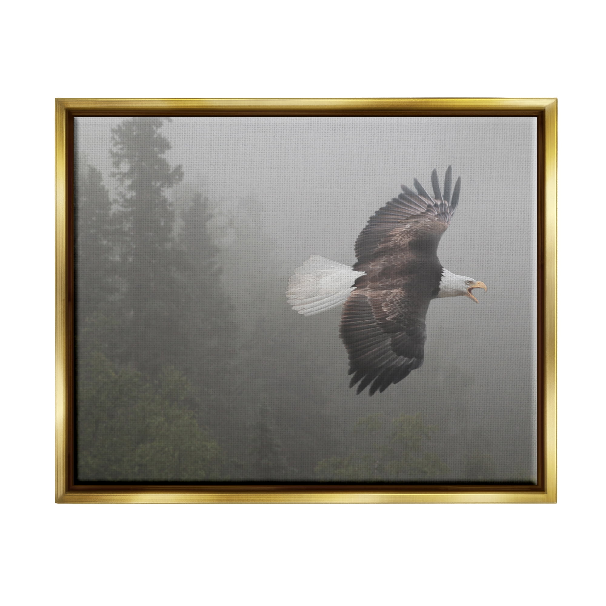 Stupell Industries Soaring Eagle in Nature Animals & Insects Photography Gold Floater Framed Art Print Wall Art, 31 x 25