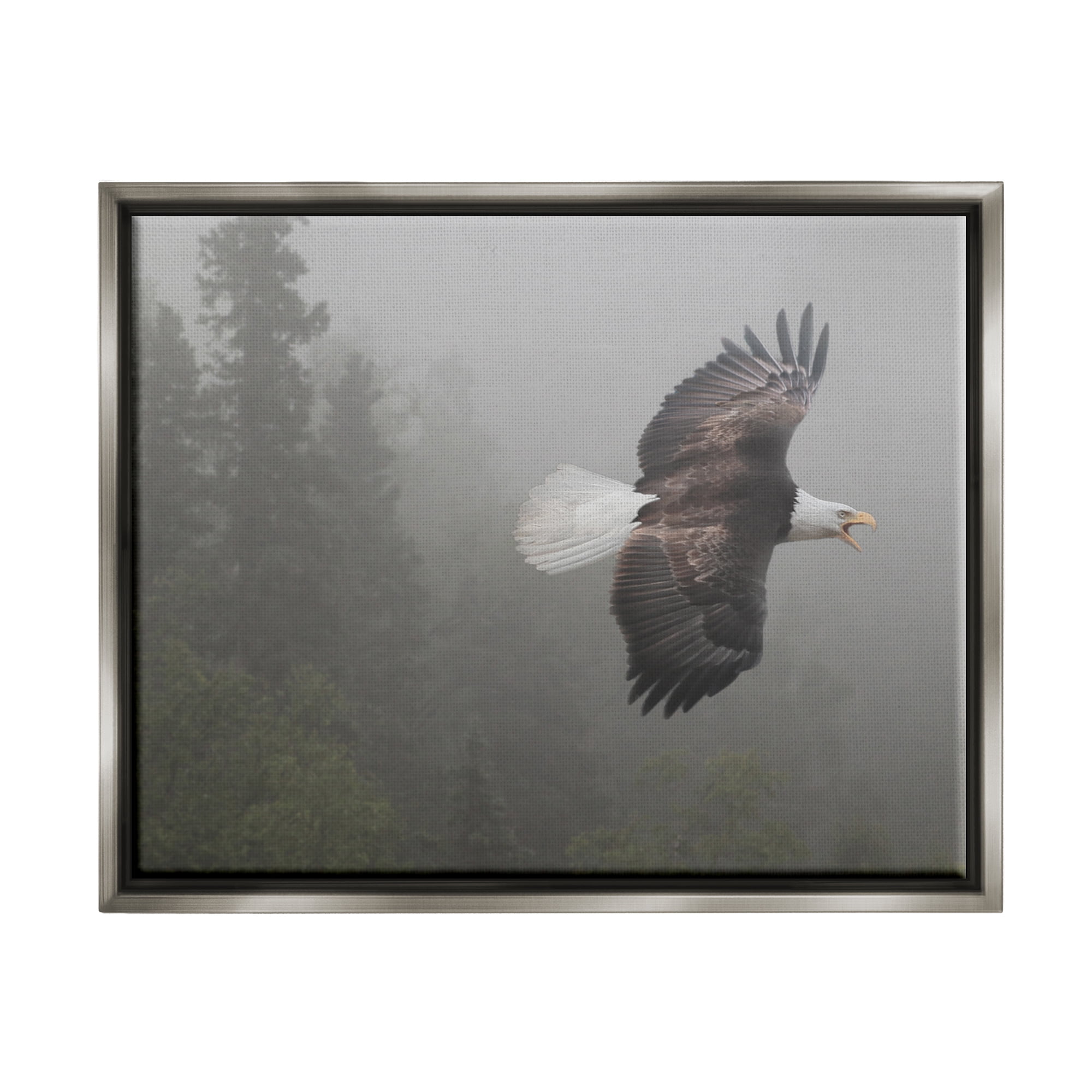 Stupell Industries Soaring Eagle in Nature Animals & Insects Photography Gray Floater Framed Art Print Wall Art, 31 x 25
