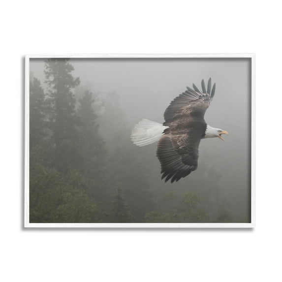 Stupell Industries Soaring Eagle in Nature Animals & Insects Photography White Framed Art Print Wall Art, 14 x 11