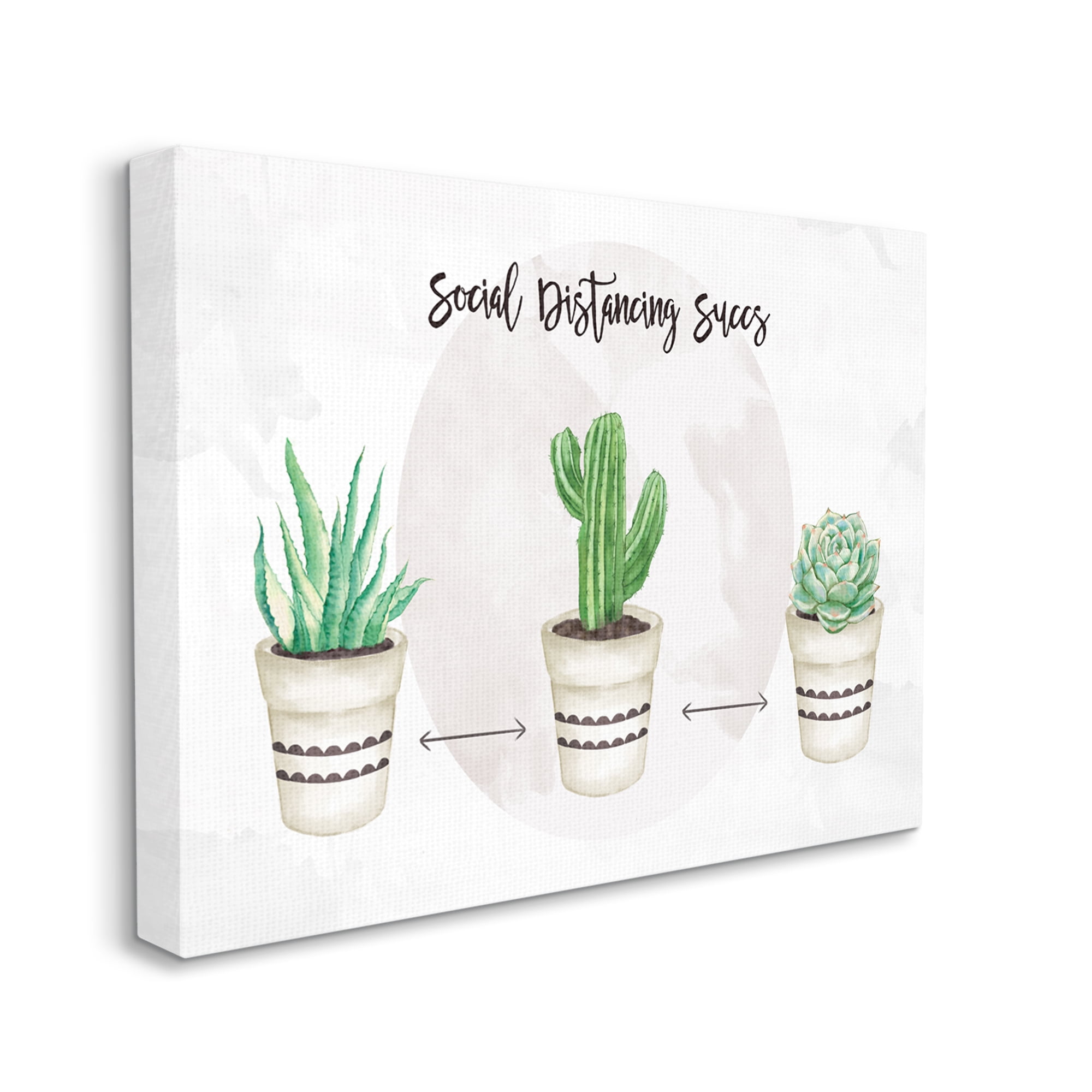 Stupell Industries Social Distancing Succs Humorous Succulent Pun Botanical & Floral Painting Gallery Wrapped Canvas Art Print Wall Art, 16 x 20