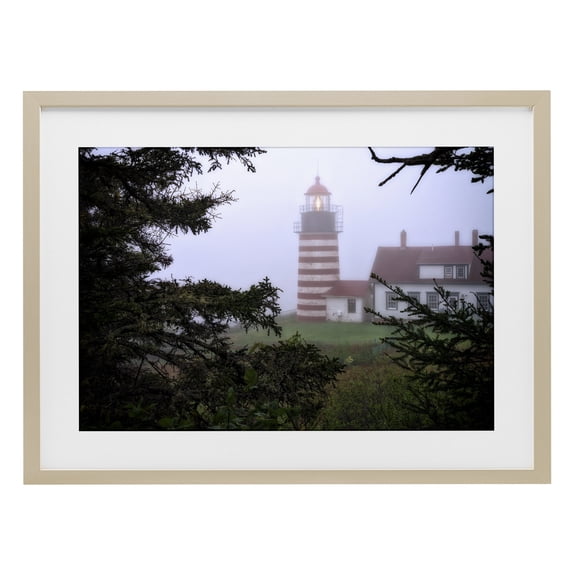 Stupell Industries Traditional Socked In By Fog Birch Framed Print Under Glass, 20 x 14, by Rick Berk
