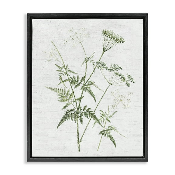 Stupell Industries Soft Blooming Bud Botanical & Floral Painting Black Floater Framed Art Print Wall Art, 17 x 21