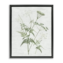 Stupell Industries Soft Blooming Bud Botanical & Floral Painting Black Floater Framed Art Print Wall Art, 17 x 21