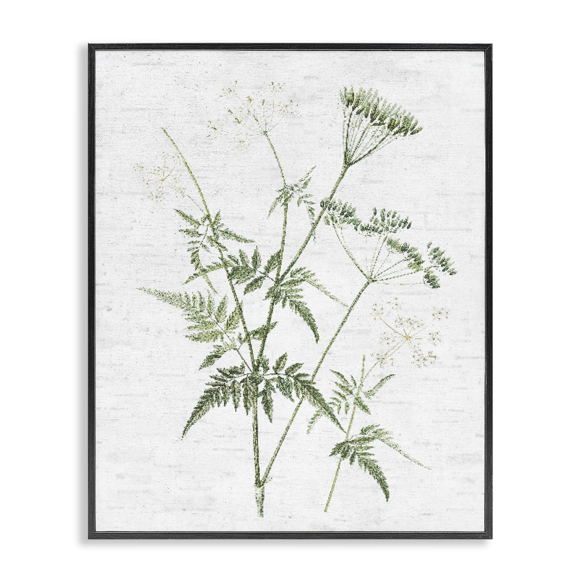 Stupell Industries Soft Blooming Bud Botanical & Floral Painting Black Framed Art Print Wall Art, 11 x 14