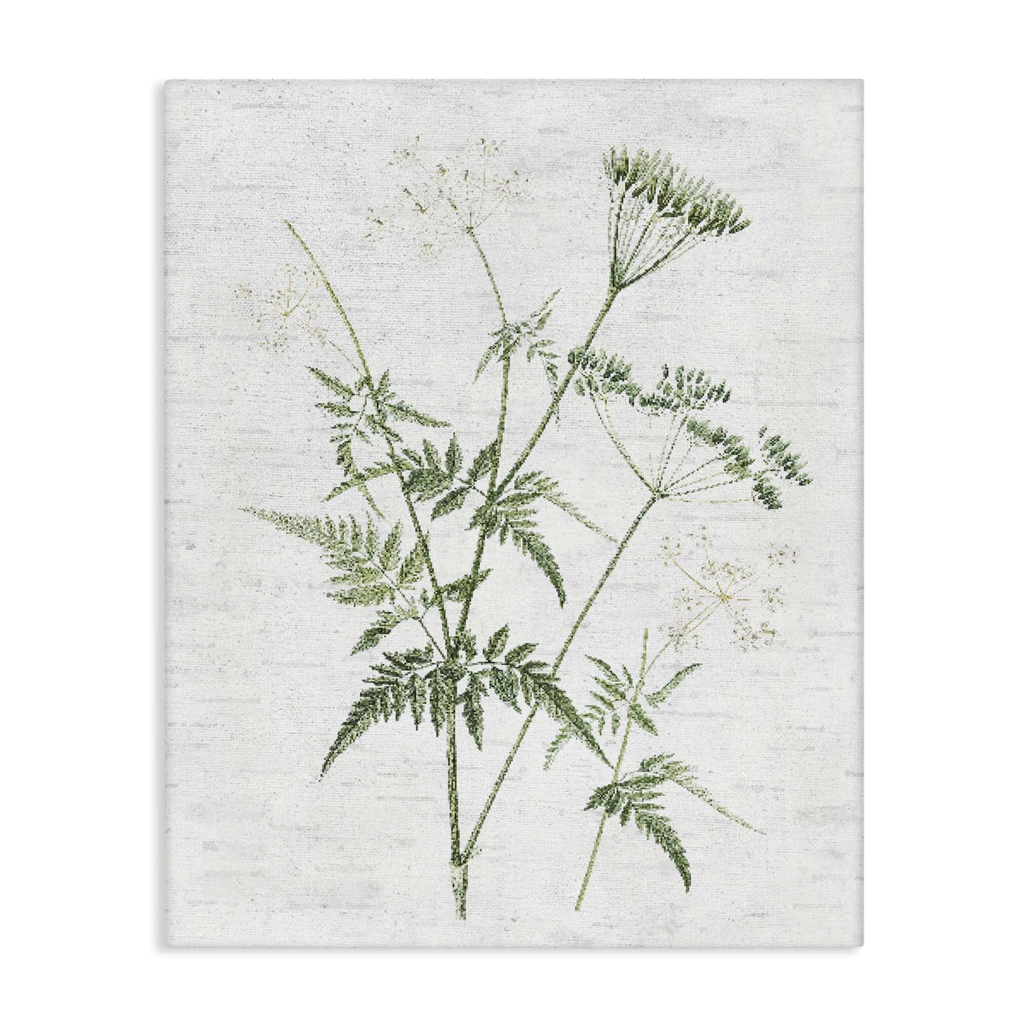 Stupell Industries Soft Blooming Bud Botanical & Floral Painting Gallery Wrapped Canvas Art Print Wall Art, 24 x 30