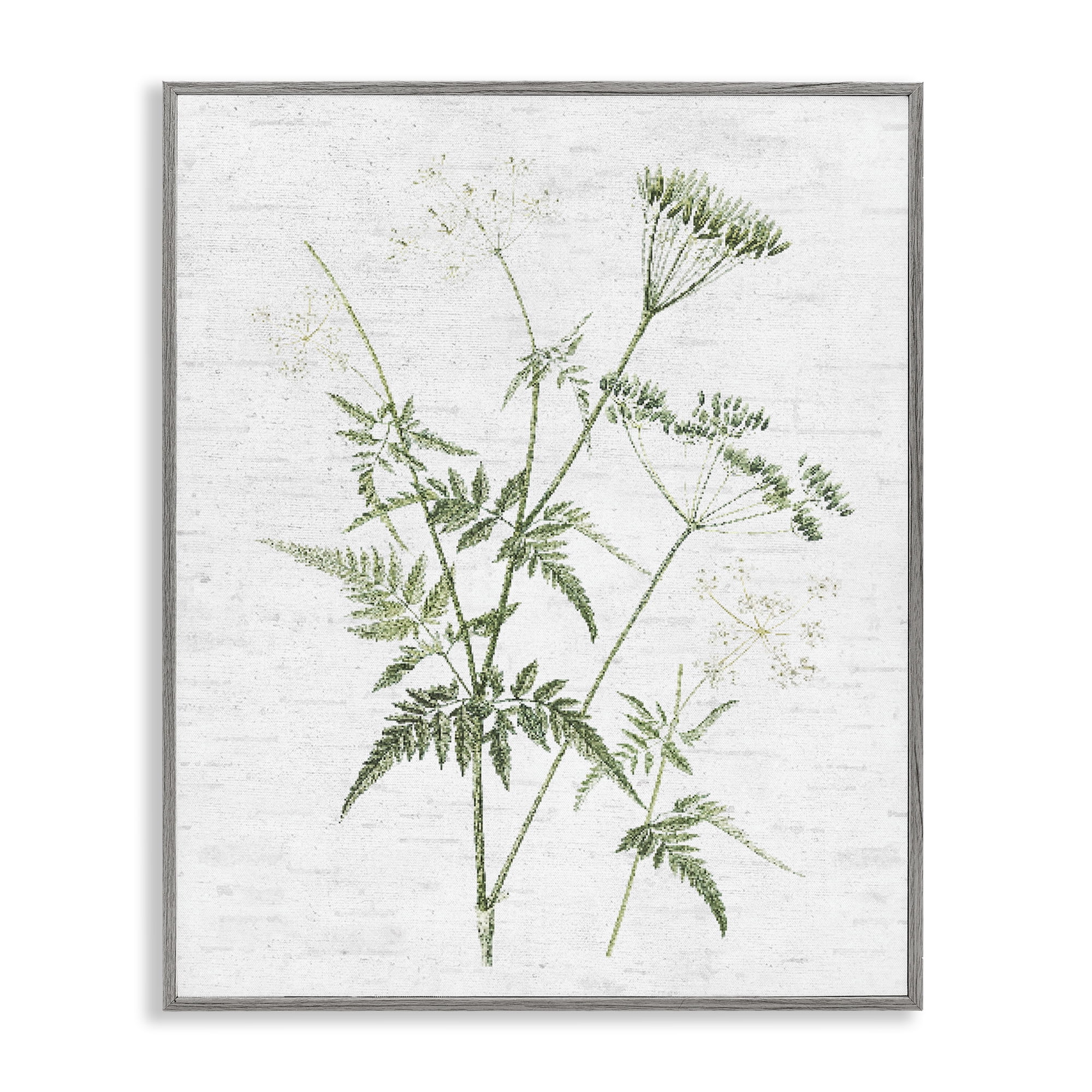 Stupell Industries Soft Blooming Bud Botanical & Floral Painting Gray Framed Art Print Wall Art, 24 x 30