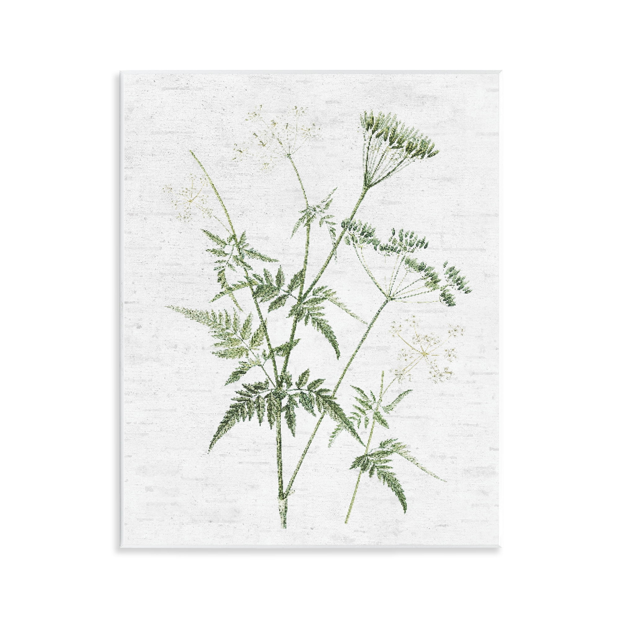 Stupell Industries Soft Blooming Bud Botanical & Floral Painting Unframed Art Print Wall Art, 11 x 14