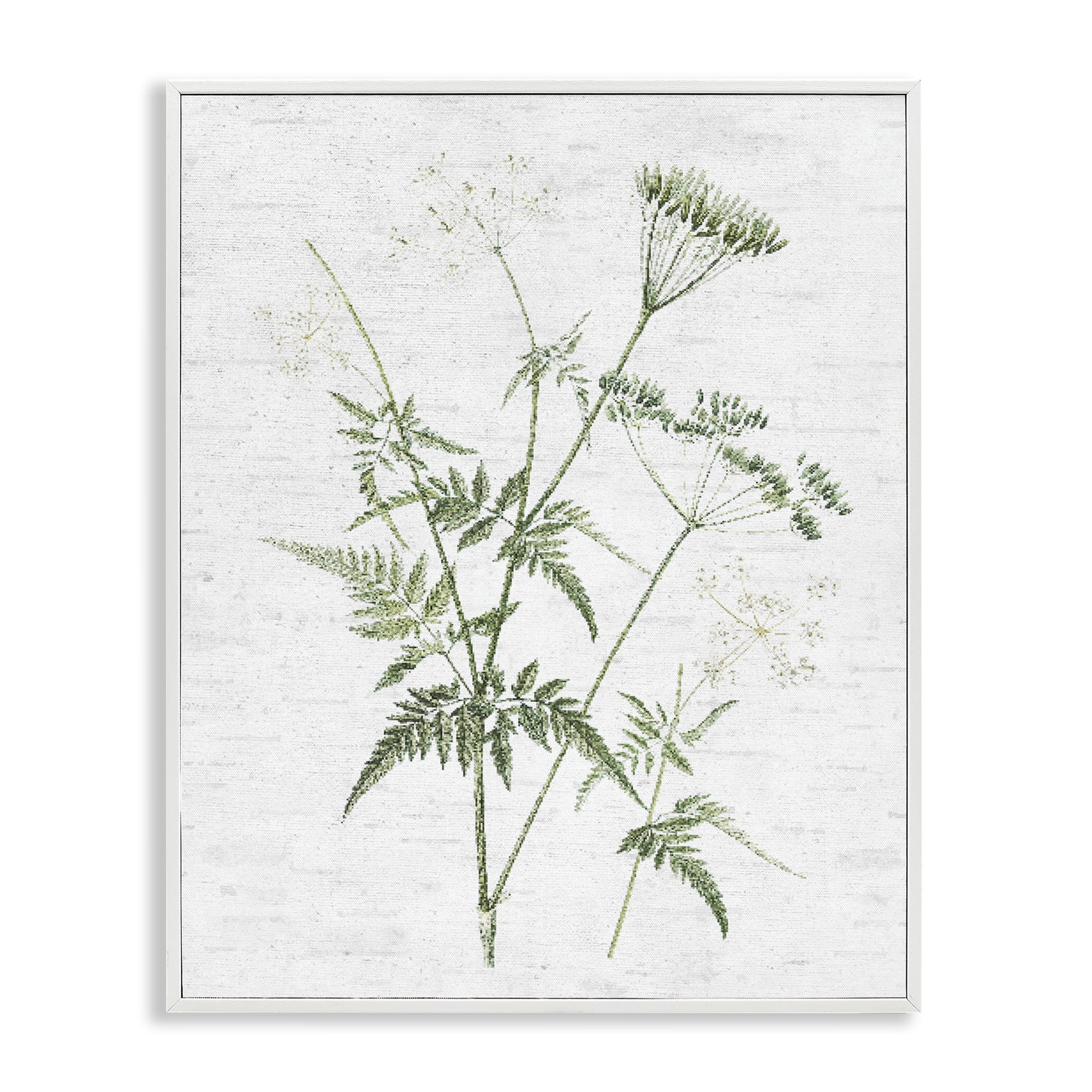 Stupell Industries Soft Blooming Bud Botanical & Floral Painting White Framed Art Print Wall Art, 24 x 30