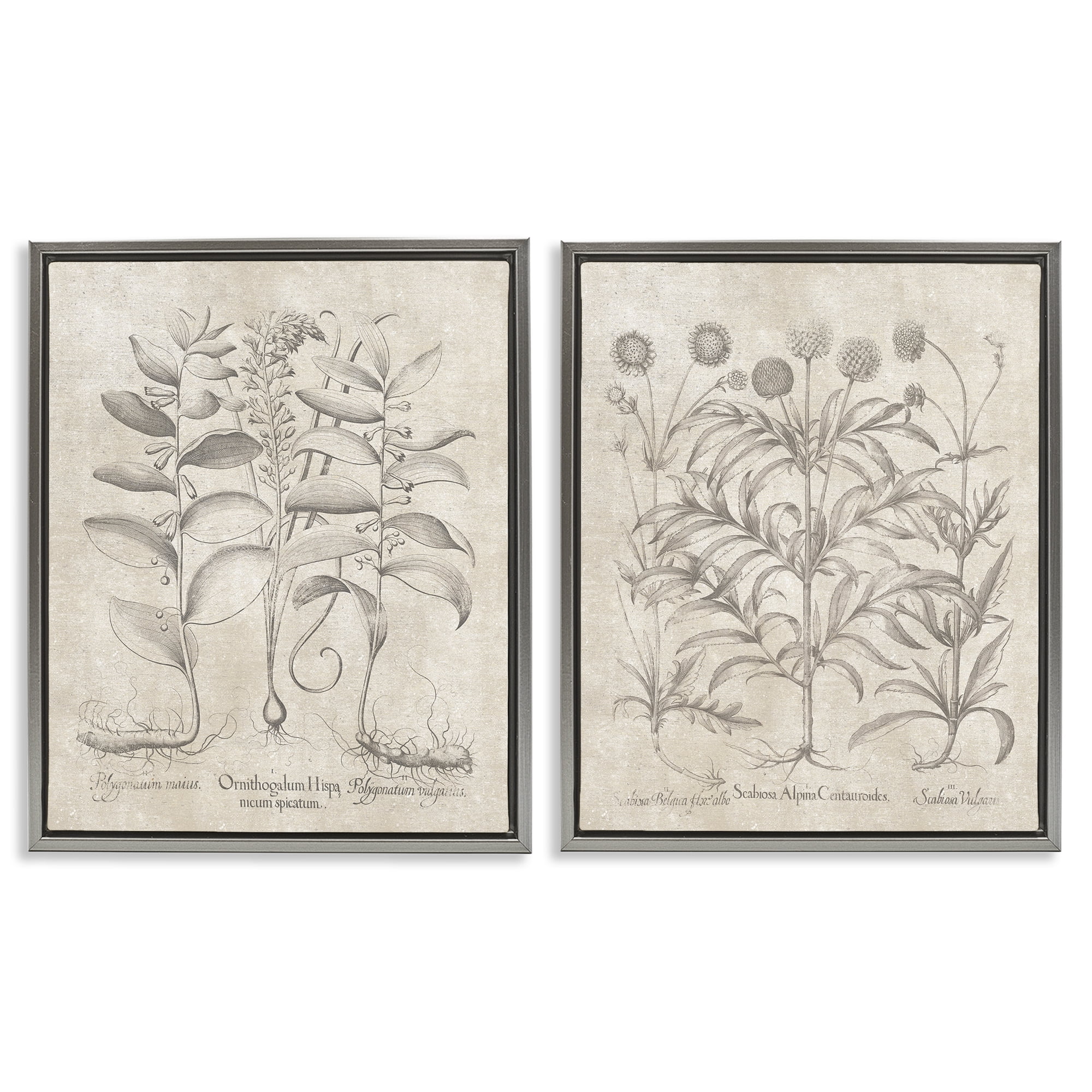 Stupell Industries Soft Botanical Study Plants & Flowers Painting Gray Floater Framed Canvas Art Print Wall Art, 17 x 21, Set of 2