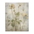 thumbnail image 1 of Stupell Industries Transitional Soft Botanicals Pattern Canvas Art, 16 x 20, by Lettered and Lined, 1 of 8