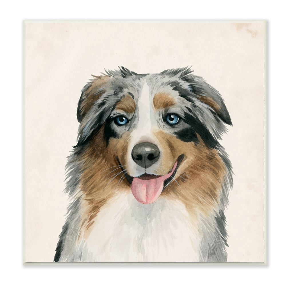 Stupell Industries Soft Charming Australian Shepard Dog Portrait Designed by Grace Popp