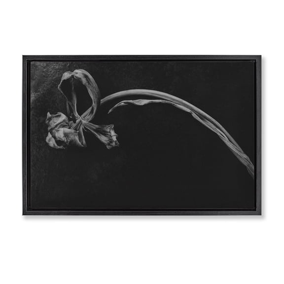 Stupell Industries Soft Collapse Flower Black Framed Floater Canvas Wall Art, design by Amy Carroll