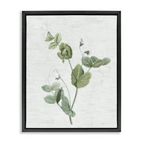 Stupell Industries Soft Country Botanical Botanical & Floral Painting Black Floater Framed Art Print Wall Art, 17 x 21