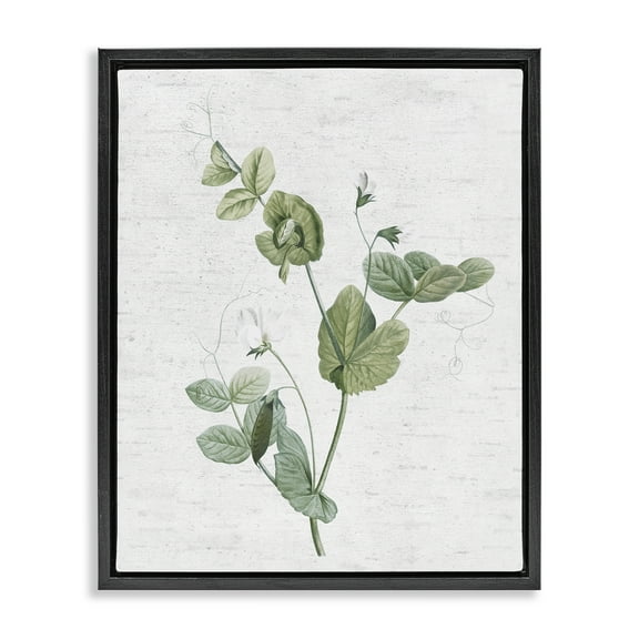 Stupell Industries Soft Country Botanical Botanical & Floral Painting Black Floater Framed Art Print Wall Art, 17 x 21