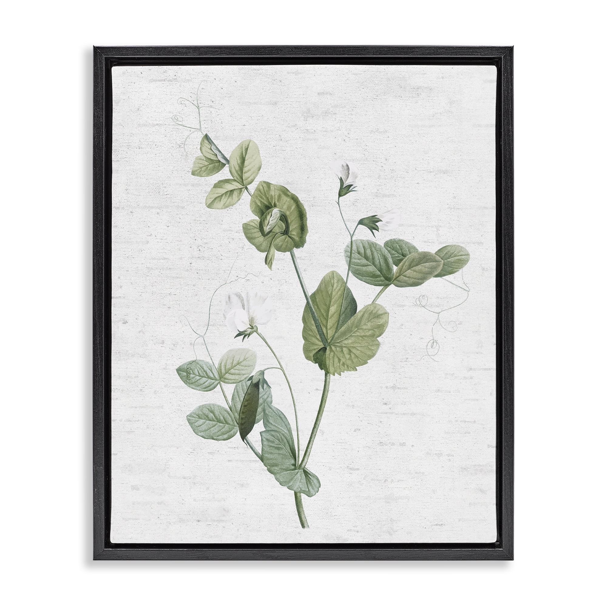 Stupell Industries Soft Country Botanical Botanical & Floral Painting Black Floater Framed Art Print Wall Art, 25 x 31