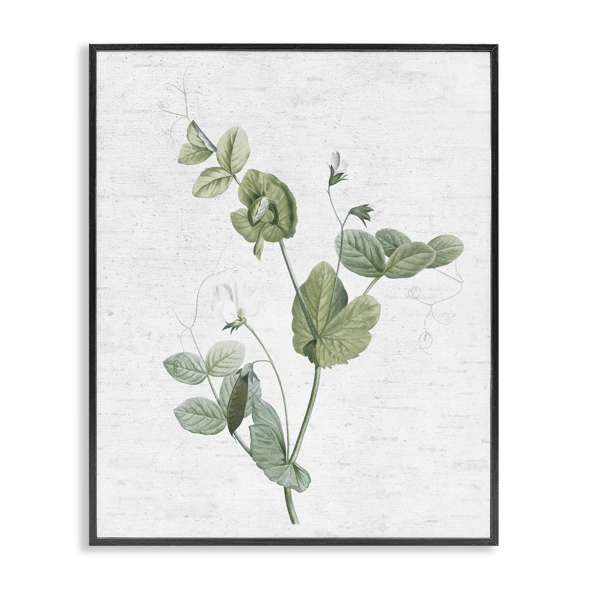 Stupell Industries Soft Country Botanical Botanical & Floral Painting Black Framed Art Print Wall Art, 16 x 20