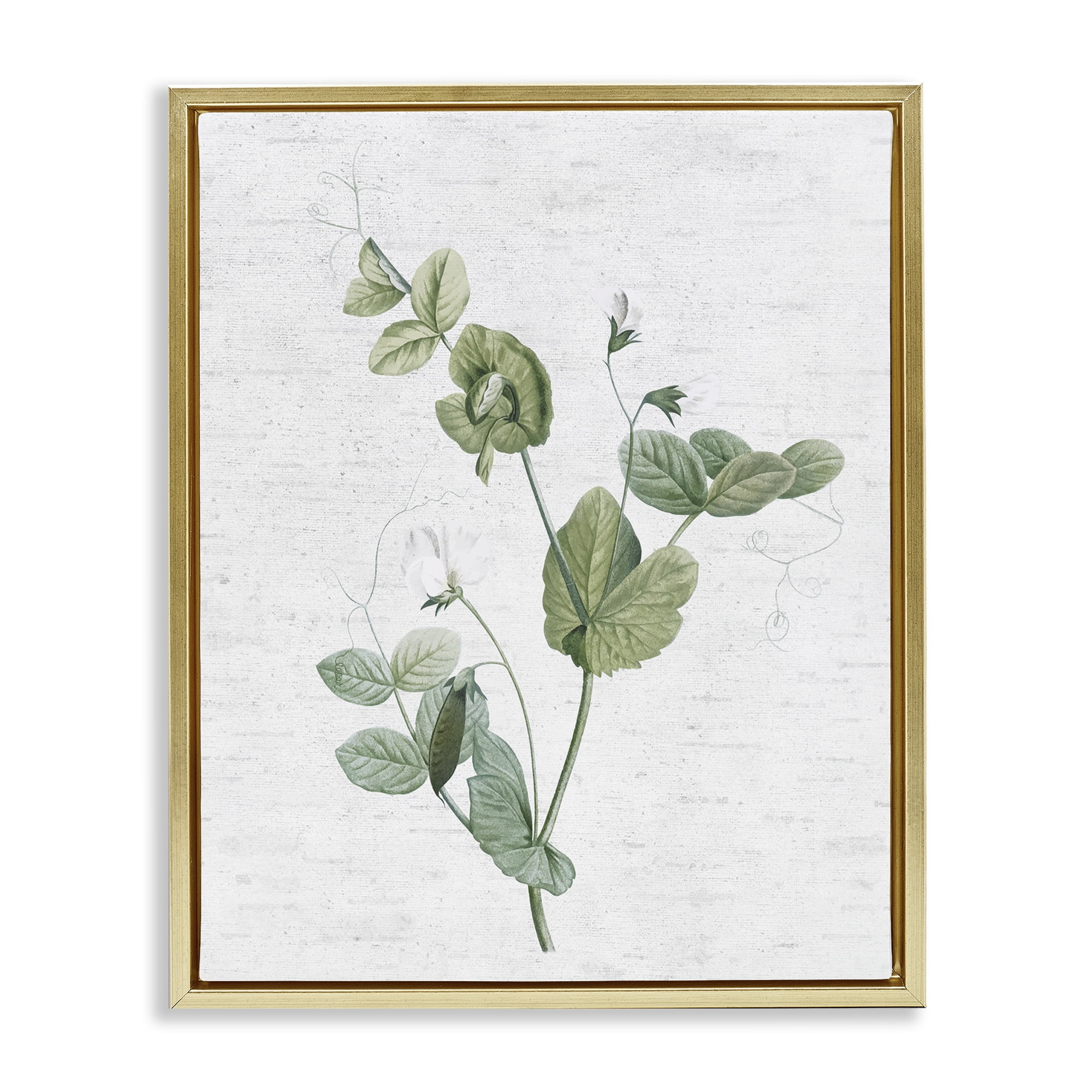 Stupell Industries Soft Country Botanical Botanical & Floral Painting Gold Floater Framed Art Print Wall Art, 17 x 21