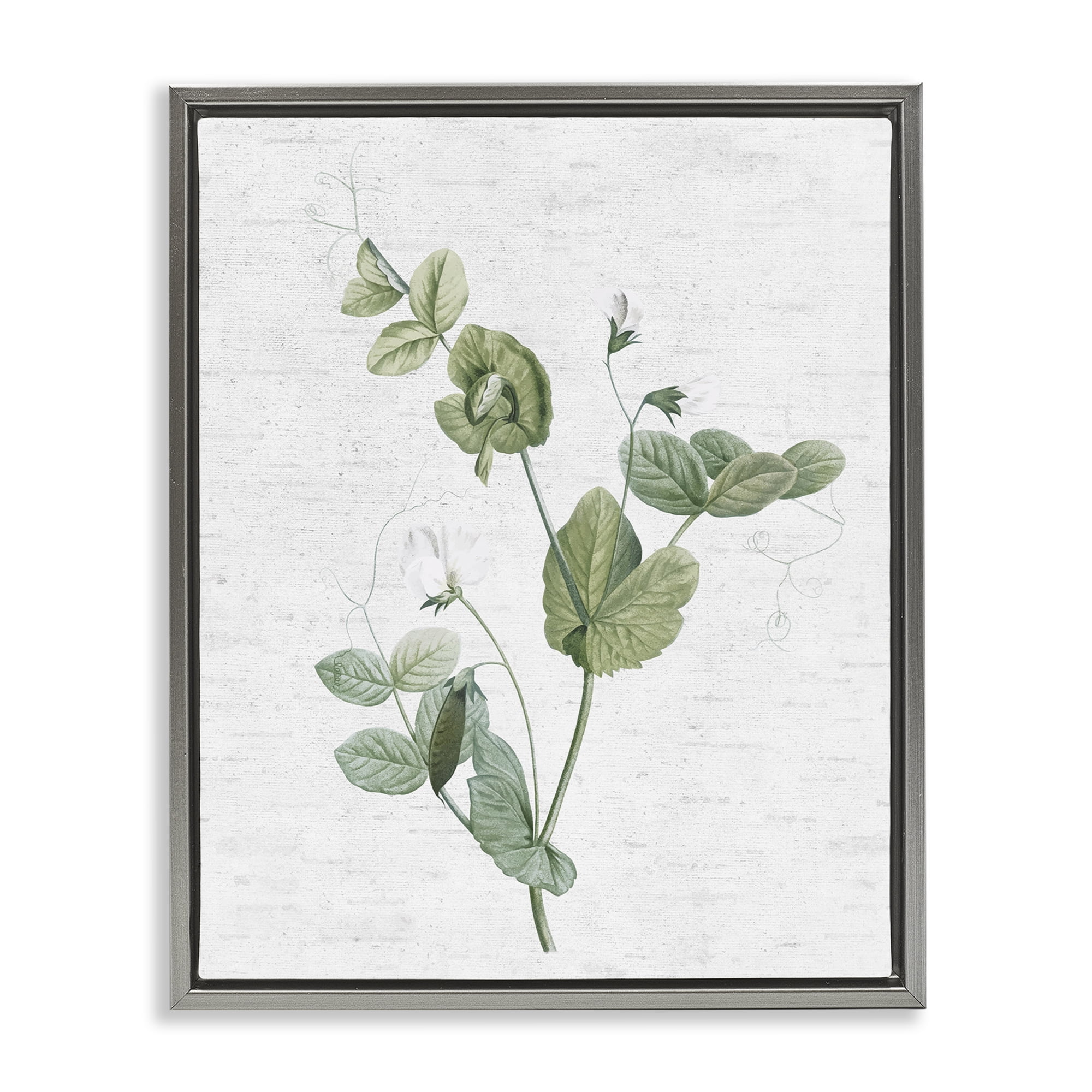 Stupell Industries Soft Country Botanical Botanical & Floral Painting Gray Floater Framed Art Print Wall Art, 25 x 31