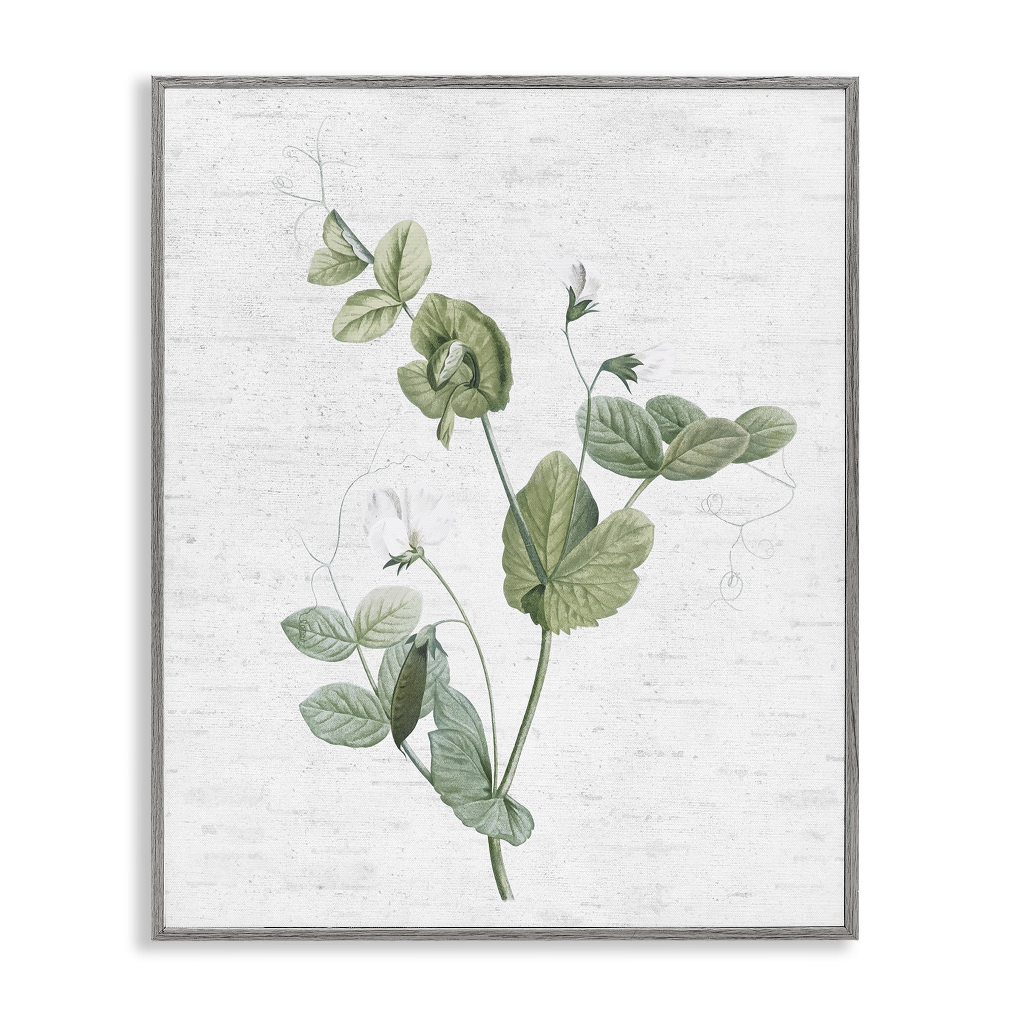 Stupell Industries Soft Country Botanical Botanical & Floral Painting Gray Framed Art Print Wall Art, 11 x 14