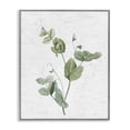 thumbnail image 1 of Stupell Industries Soft Country Botanical Botanical & Floral Painting Gray Framed Art Print Wall Art, 16 x 20, 1 of 10