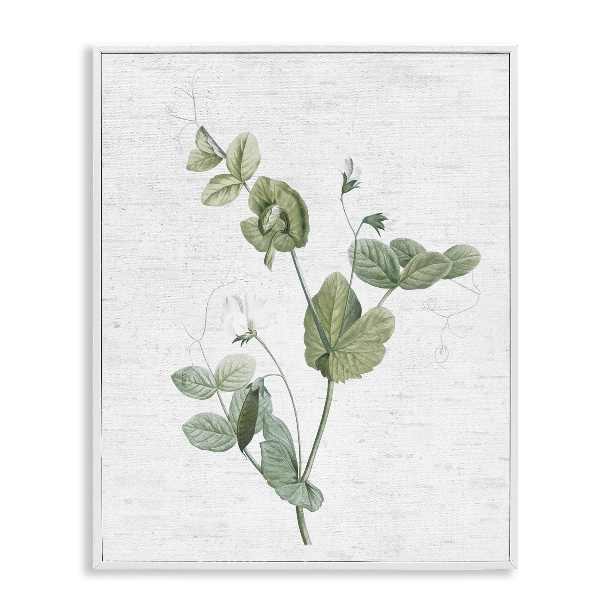 Stupell Industries Soft Country Botanical Botanical & Floral Painting White Framed Art Print Wall Art, 11 x 14