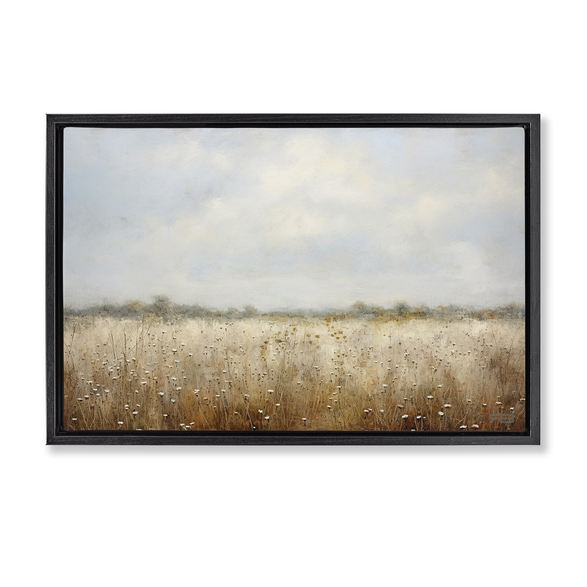 Stupell Industries Soft Daisy Field Landscape Painting Black Floater Framed Art Print Wall Art, 31 x 21