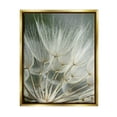 thumbnail image 1 of Stupell Industries Soft Dandelion Photography Botanical & Floral Photography Gold Floater Framed Canvas Art Print Wall Art, 17 x 21, 1 of 10