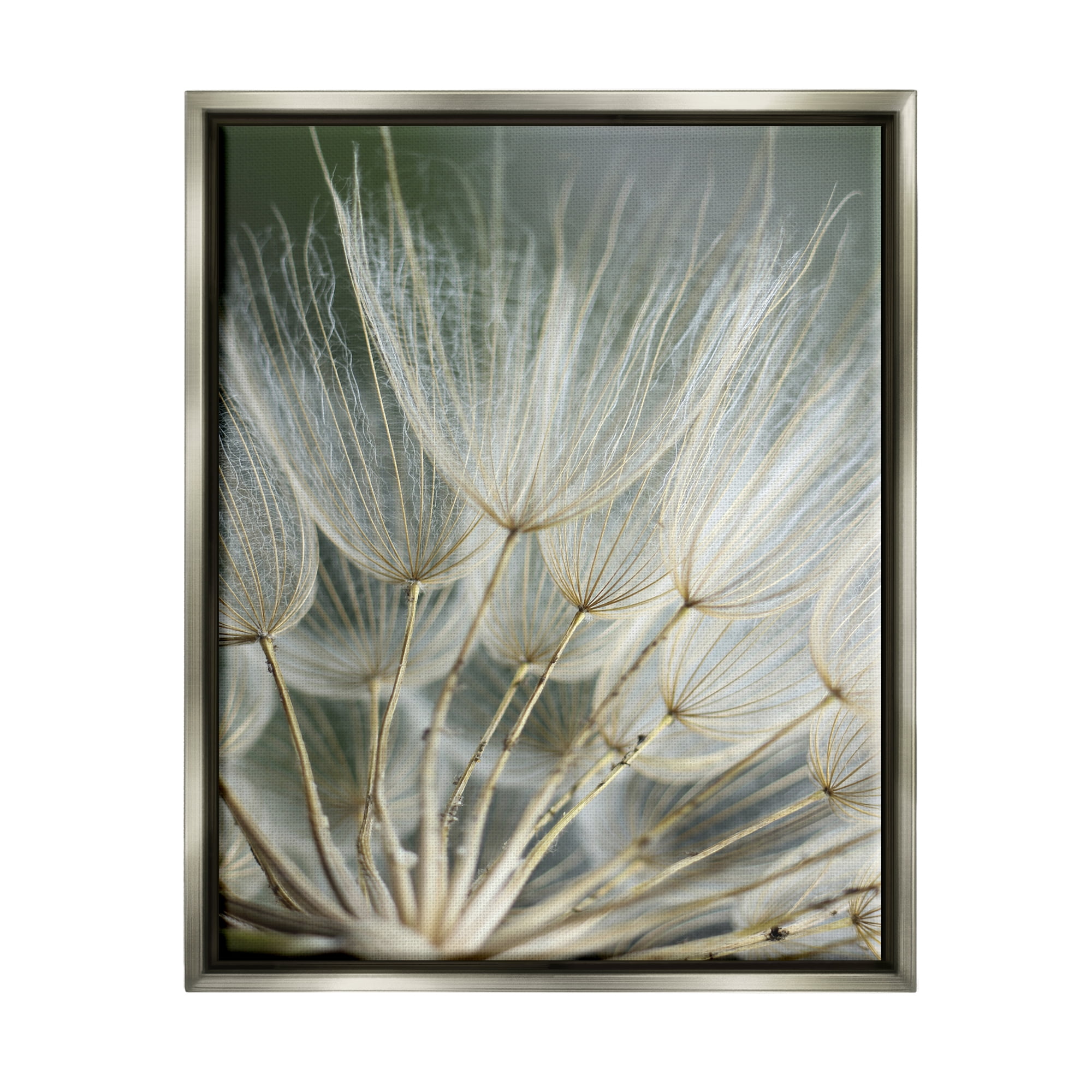 Stupell Industries Soft Dandelion Photography Botanical & Floral Photography Gray Floater Framed Canvas Art Print Wall Art, 25 x 31