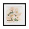thumbnail image 1 of Stupell Industries Shabby Chic Soft Dimensional Magnolia Black Framed Print Under Glass, 13 x 13, by Chris Paschke, 1 of 7