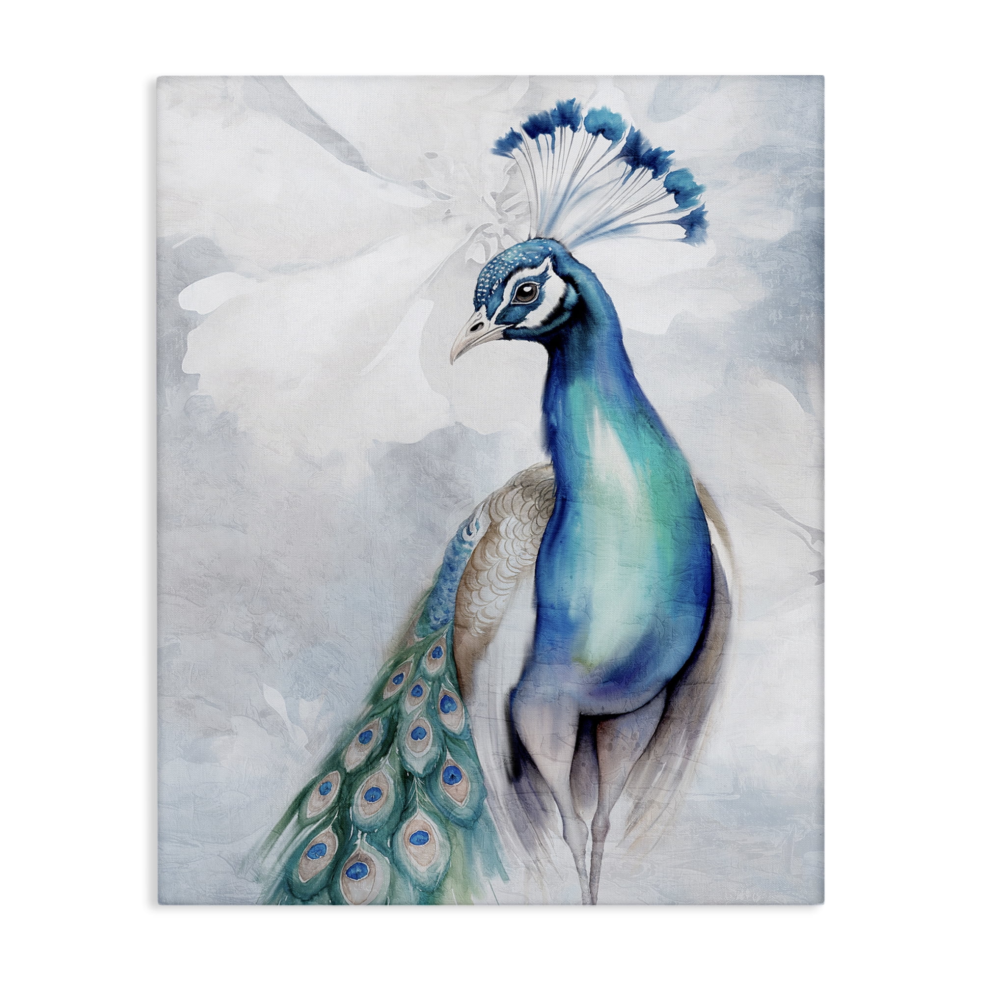 Stupell Industries Soft Elegant Peacock Portrait Animals Painting Wrapped Canvas Art Print Wall Art, 24 x 30