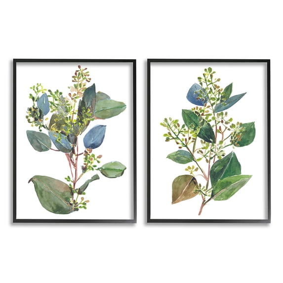 Stupell Industries Soft Eucalyptus Plant Blue Green Ombre Leaves Black Framed by Melissa Wang