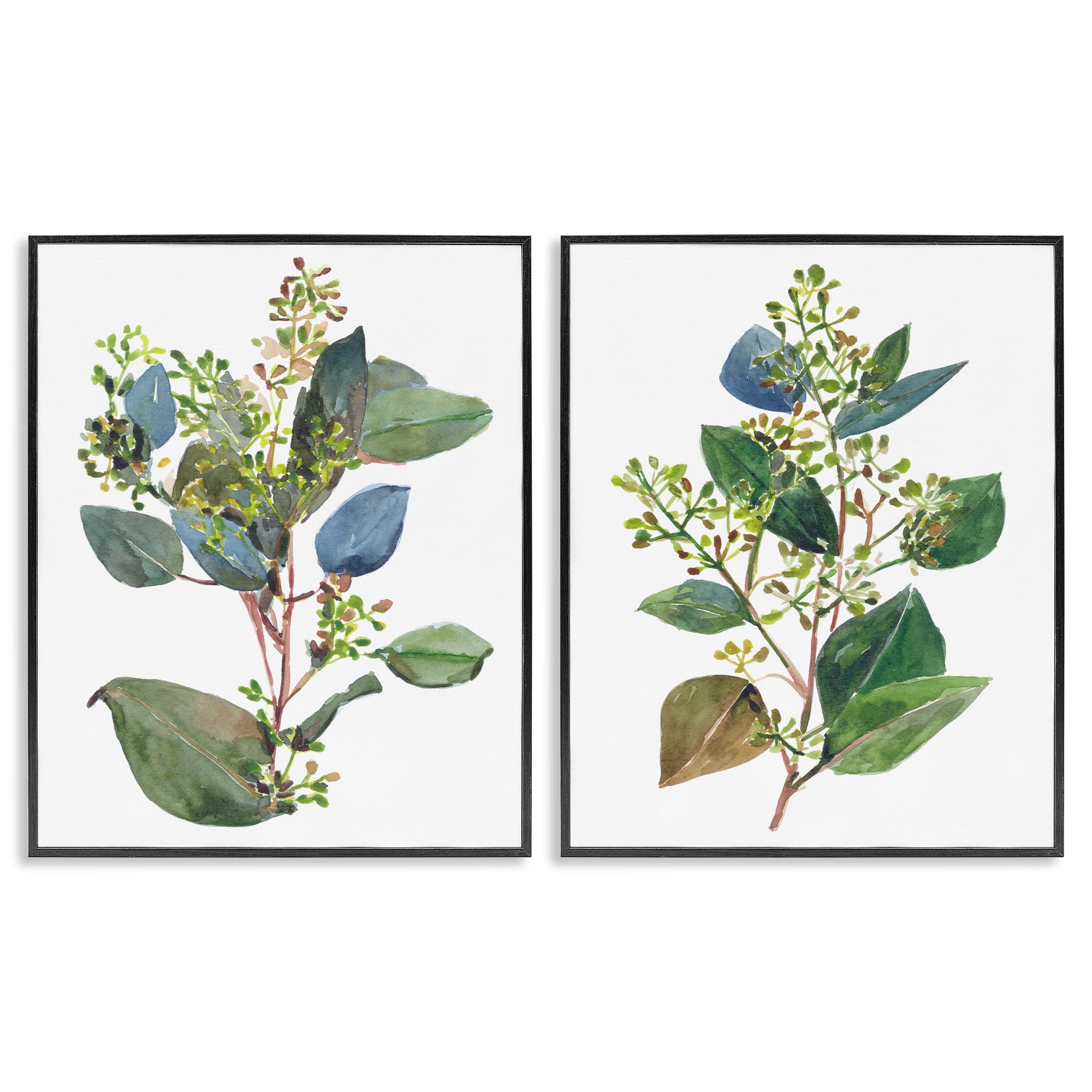 Stupell Industries Soft Eucalyptus Plant Ombre Leaves Botanical & Floral Painting Black Framed Art Print Wall Art, 24 x 30, Set of 2