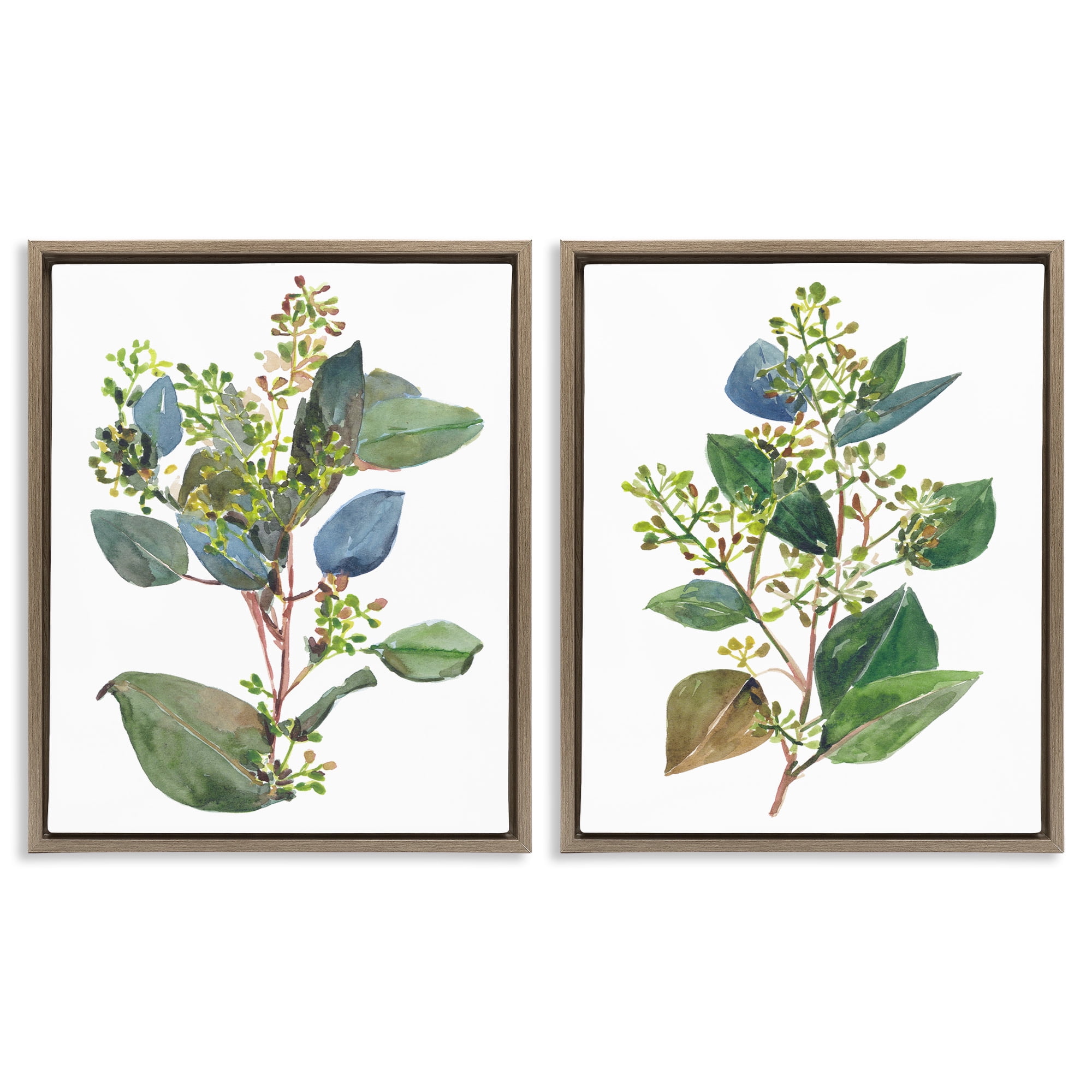 Stupell Industries Soft Eucalyptus Plant Ombre Leaves Botanical & Floral Painting Brown Floater Framed Canvas Art Print Wall Art, 25 x 31, Set of 2