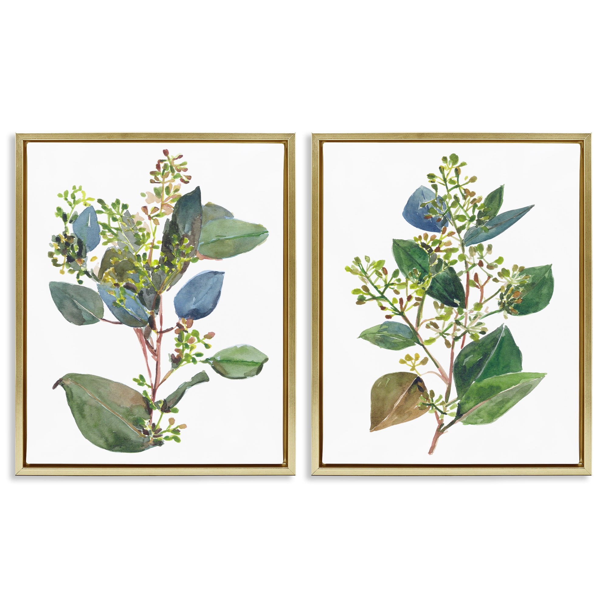Stupell Industries Soft Eucalyptus Plant Ombre Leaves Botanical & Floral Painting Gold Floater Framed Canvas Art Print Wall Art, 17 x 21, Set of 2