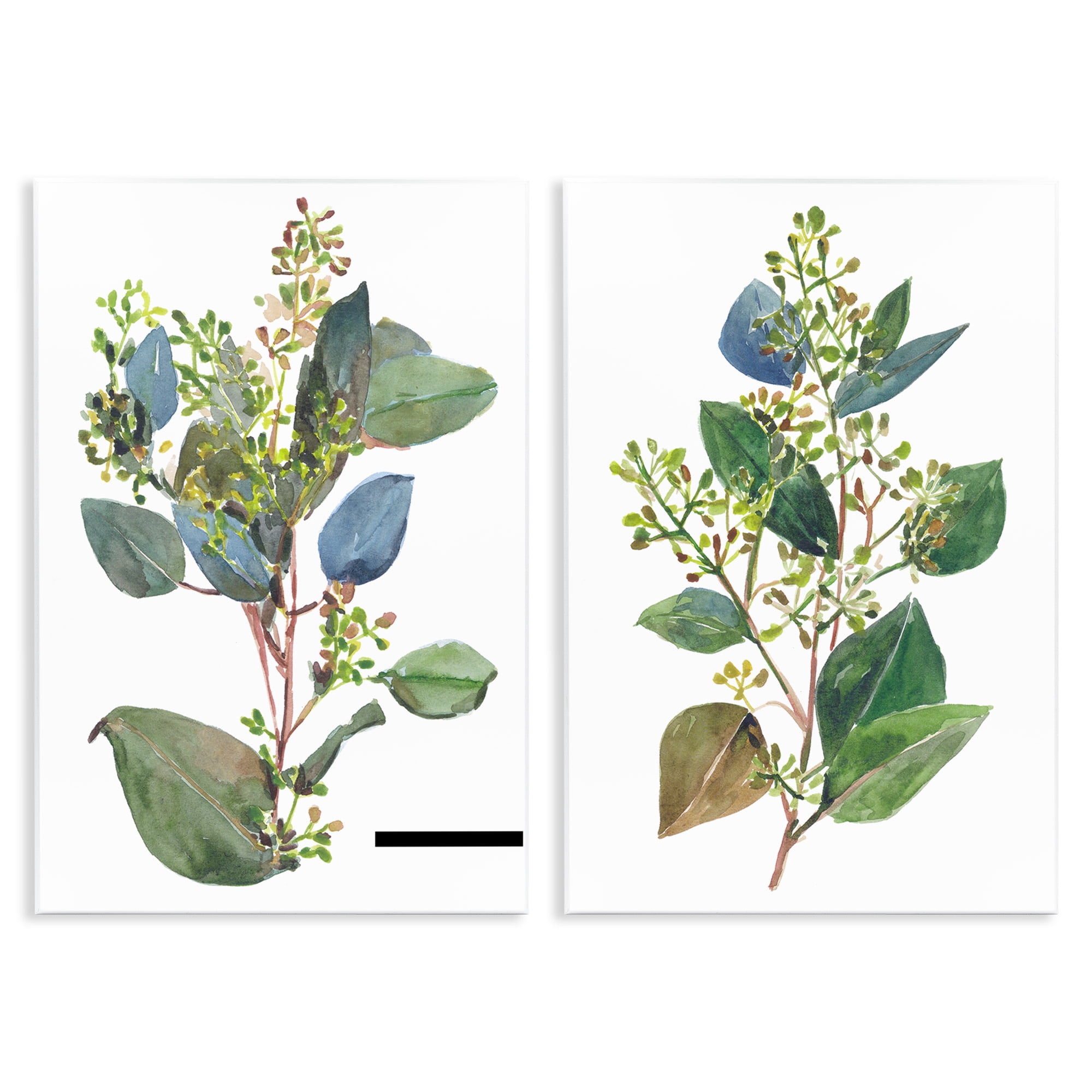 Stupell Industries Soft Eucalyptus Plant Ombre Leaves Botanical & Floral Painting Unframed Art Print Wall Art, 13 x 19, Set of 2