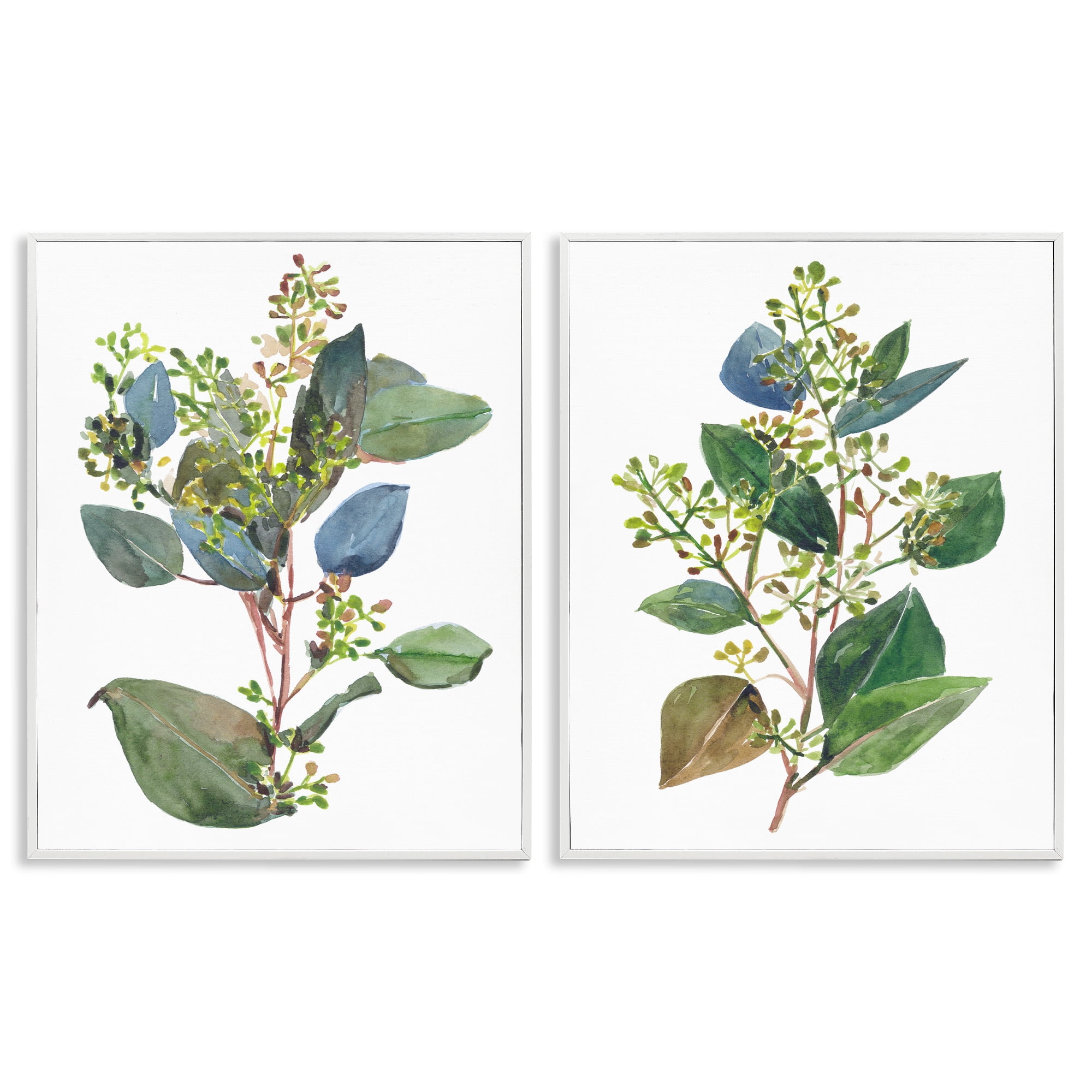 Stupell Industries Soft Eucalyptus Plant Ombre Leaves Botanical & Floral Painting White Framed Art Print Wall Art, 24 x 30, Set of 2