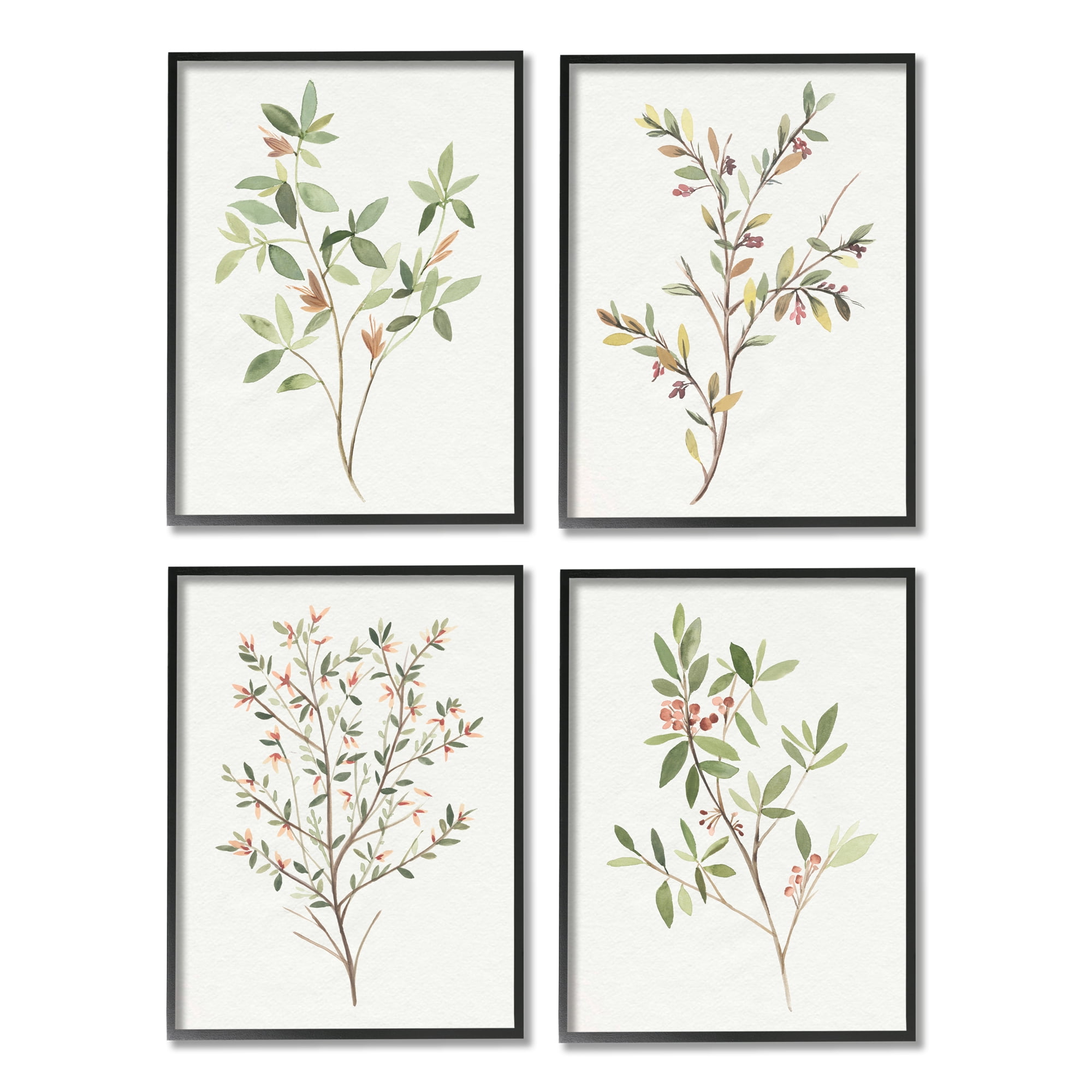 Stupell Industries Soft Farmhouse Botanicals Charming Wild Foliage Plant Illustration, 11 x 14, Design by Annie Warren