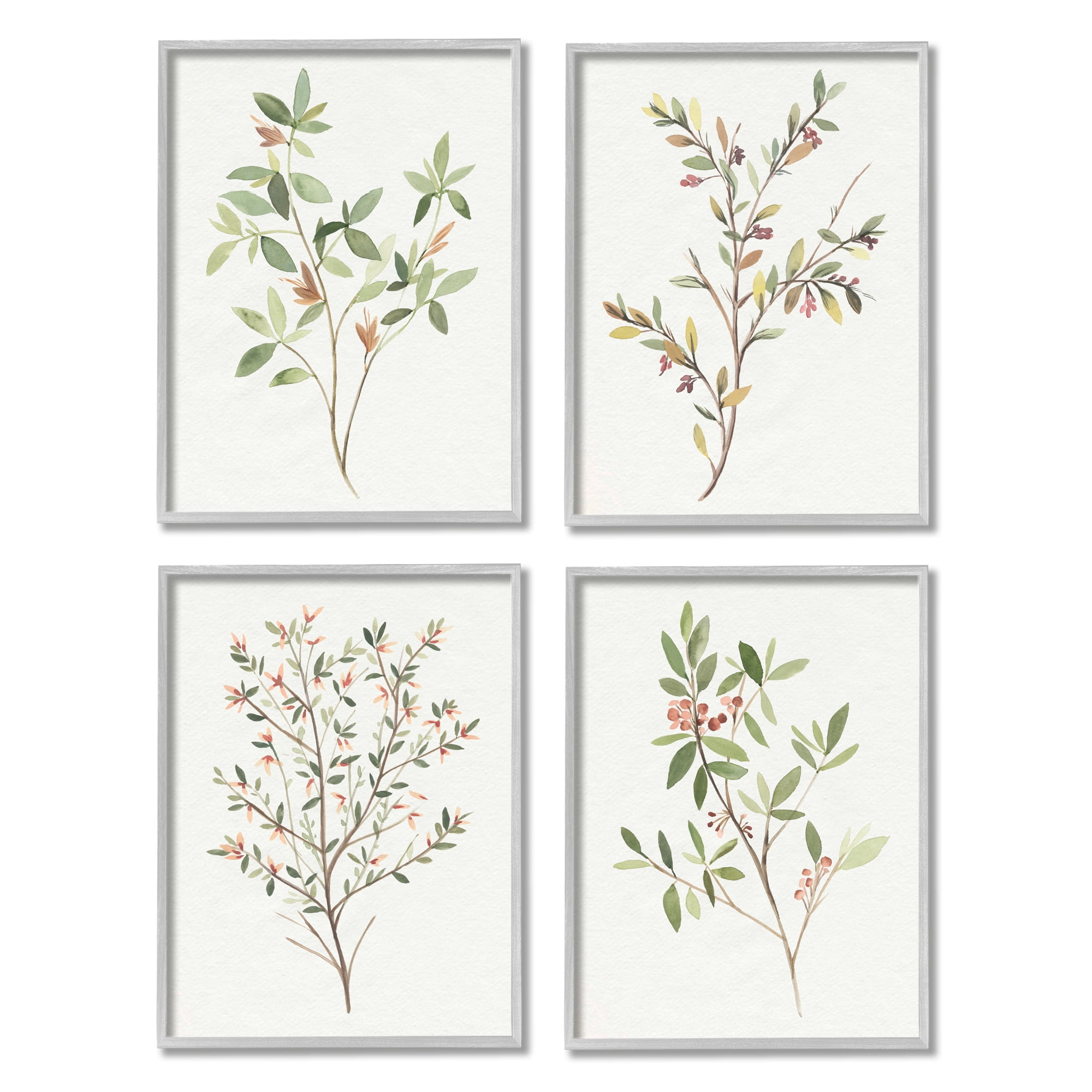 Stupell Industries Soft Farmhouse Botanicals Charming Wild Foliage Plant Illustration, 11 x 14, Design by Annie Warren